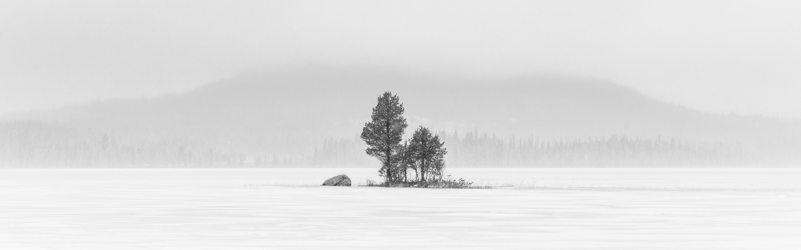 Läs mera